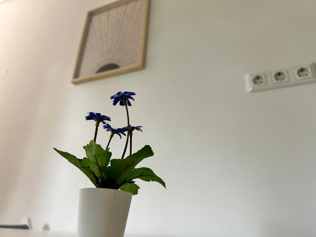 Prime Suites Near Schoenbrunn Castle Виена Екстериор снимка